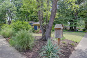 Street Corner Landscape