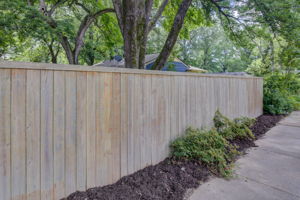 Rear Fence Exterior