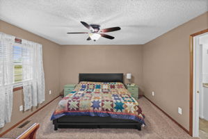  Photo 30