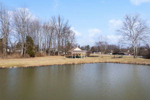  Photo 49