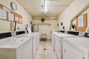 DSC_7633