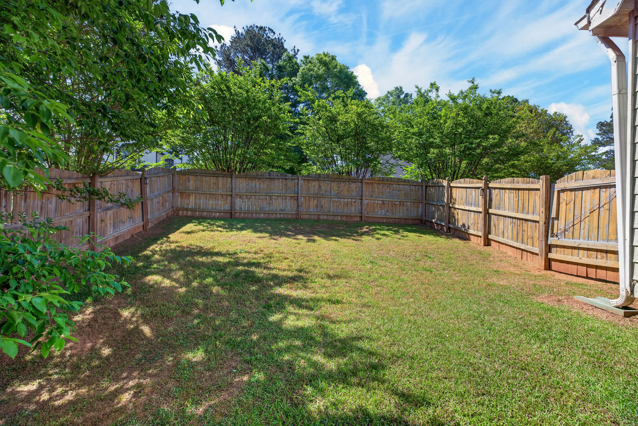 mppmedia4577rugosaway22