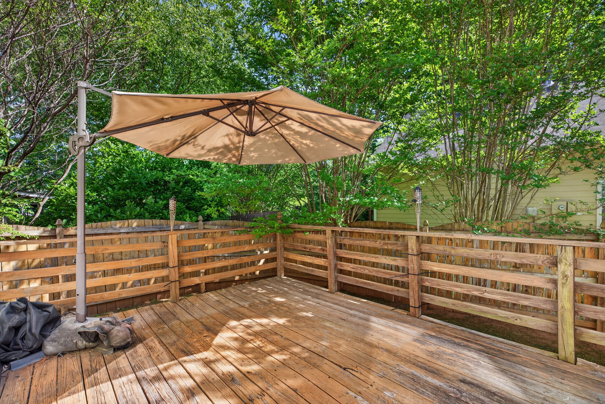 mppmedia4577rugosaway24