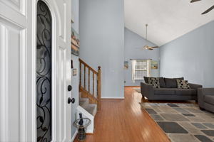 mppmedia4577rugosaway04