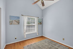 mppmedia4577rugosaway08