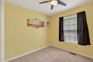 mppmedia4577rugosaway19