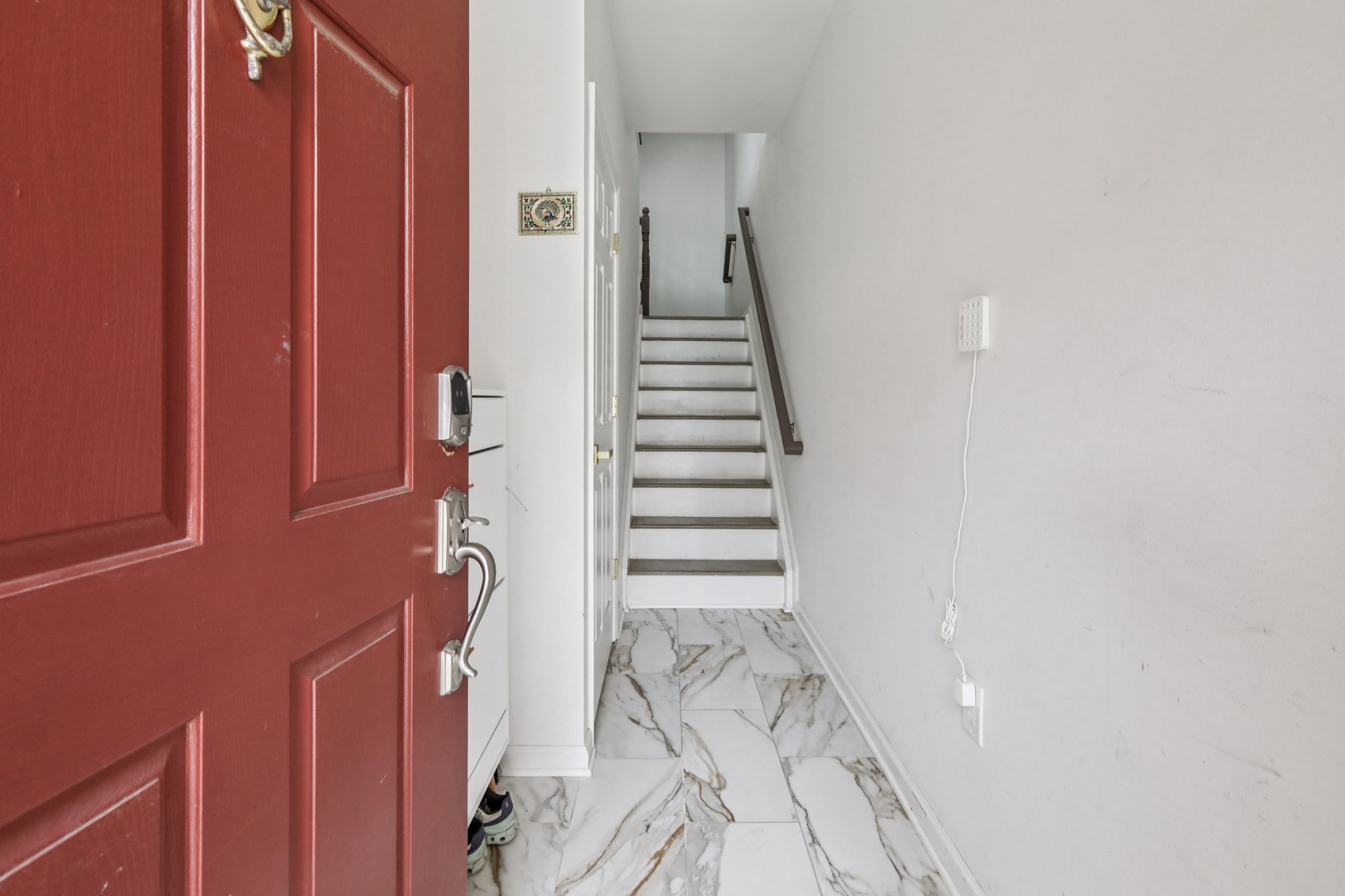 Buffalo Ct-S0204-007.jpg