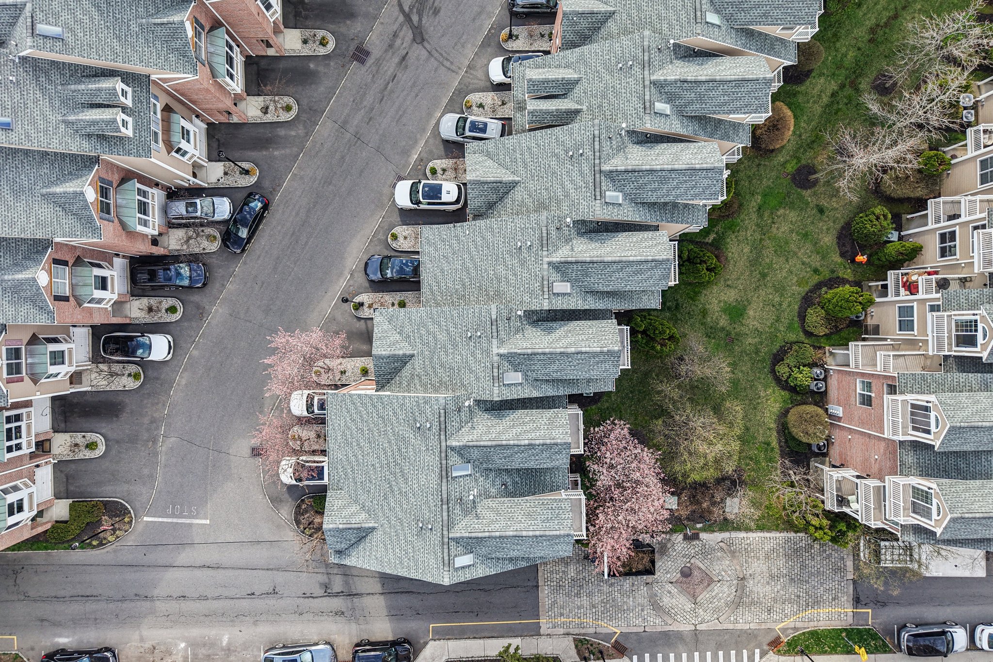 Buffalo Ct-S0204-084.jpg