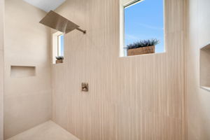 Primary Shower View 2