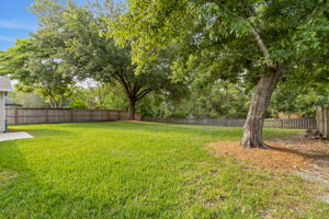 Backyard