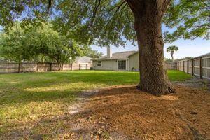 Back of Home