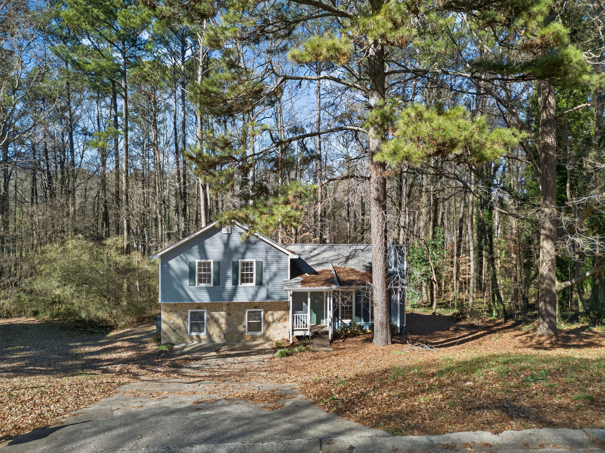 mppmedia4585muirwoodcir02