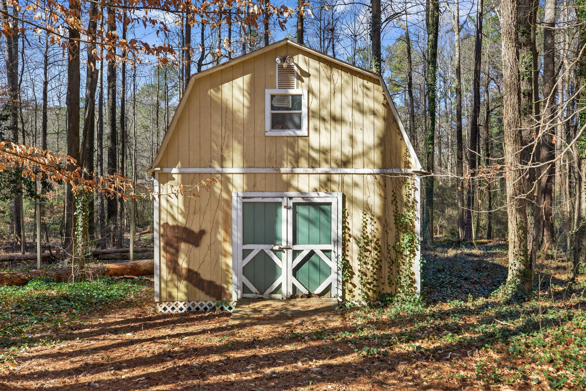 mppmedia4585muirwoodcir25