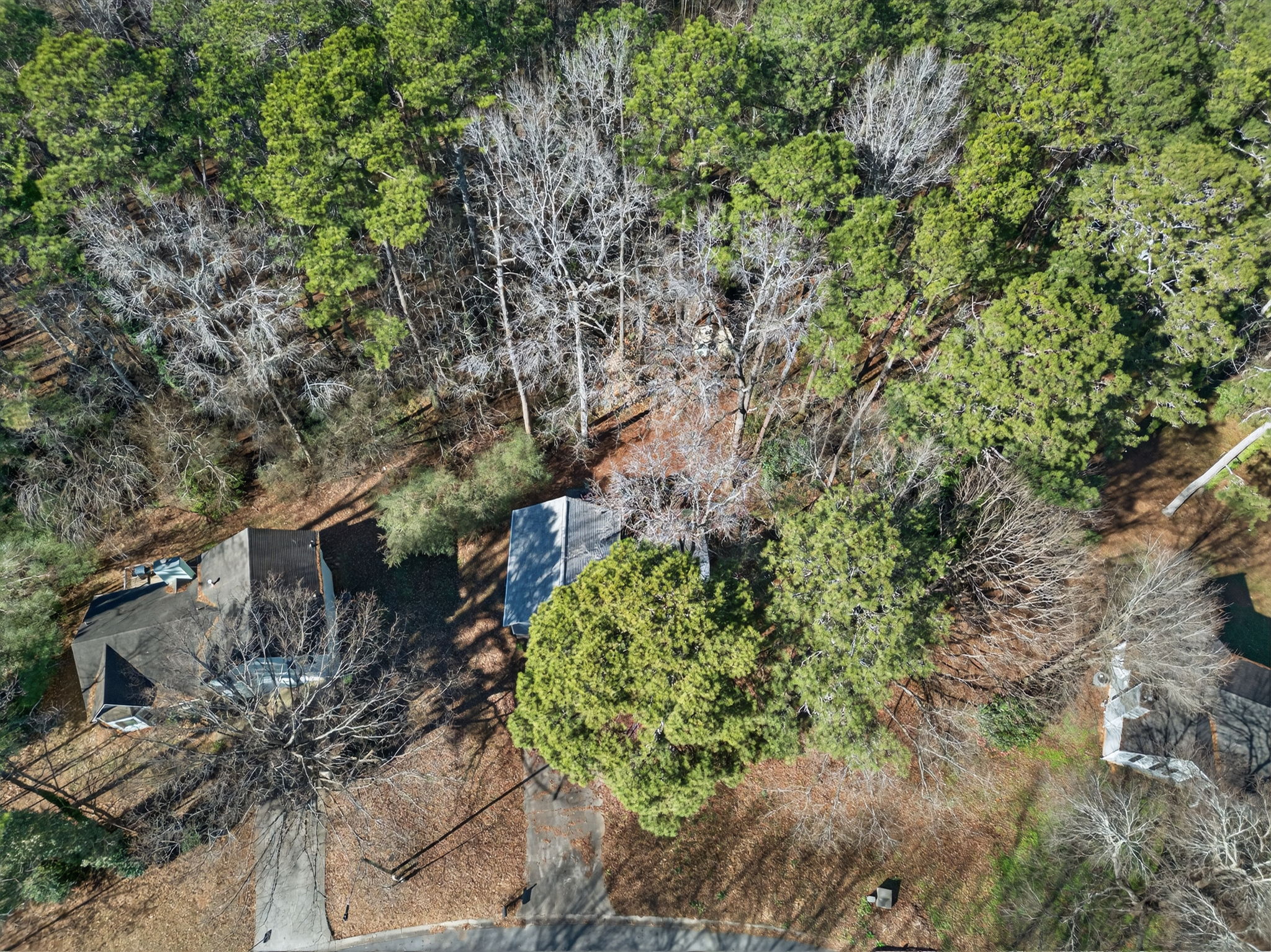 mppmedia4585muirwoodcir27