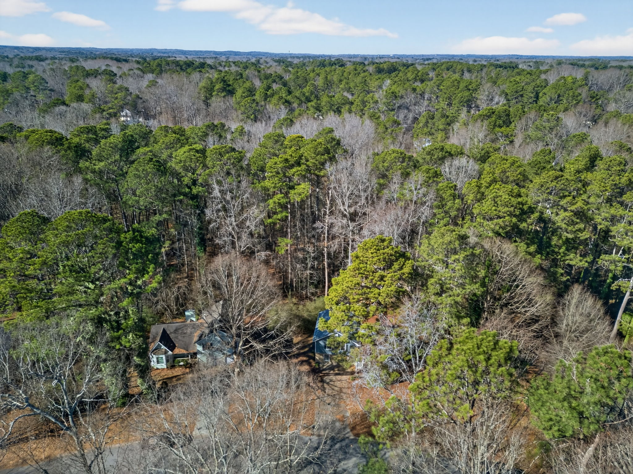 mppmedia4585muirwoodcir29