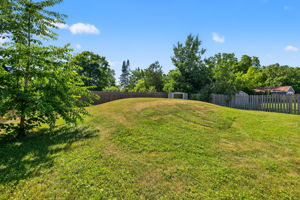  Photo 49