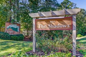 The Shadows