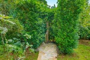  Photo 49