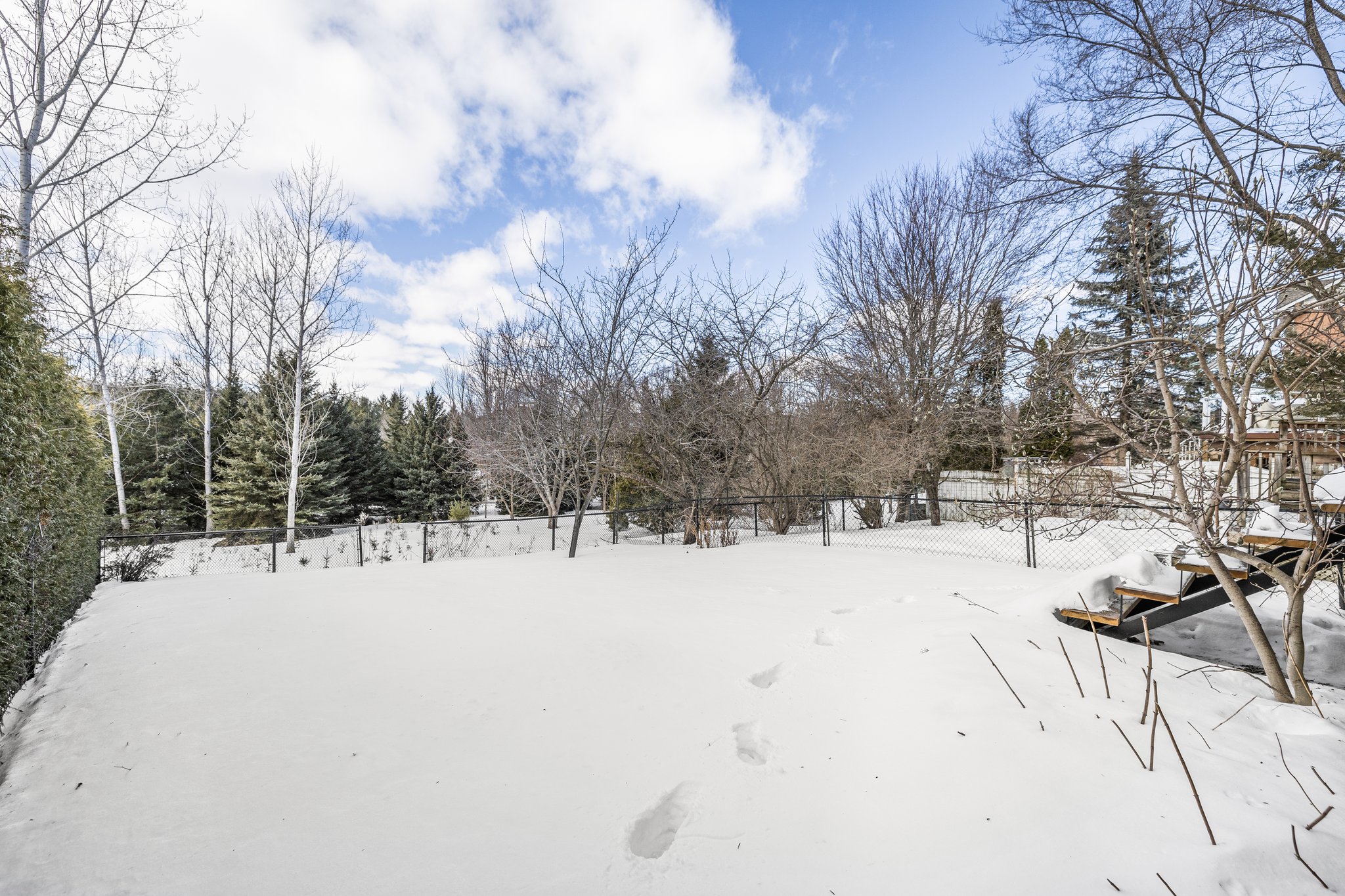 View from ground in rear yard