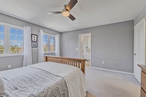 Primary Bedroom overlooking greenspace