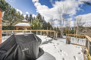 Walk-out to raised deck overlooking greenspace