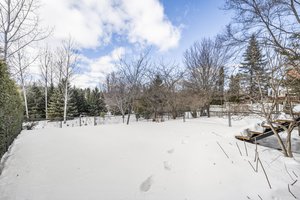 View from ground in rear yard