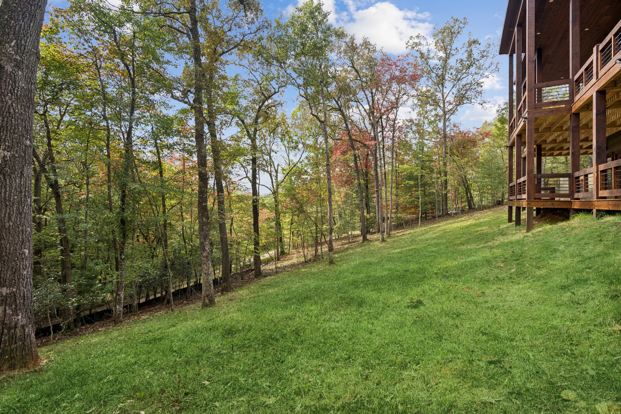 Local_Flavor_films-46 Cub Drive, Mineral Bluff, GA 30559-366.jpg