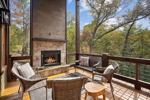 Local_Flavor_films-46 Cub Drive, Mineral Bluff, GA 30559-211.jpg