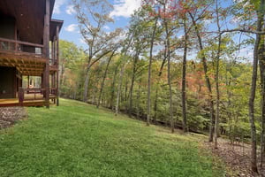 Local_Flavor_films-46 Cub Drive, Mineral Bluff, GA 30559-361.jpg
