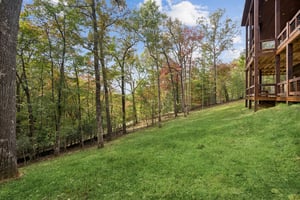 Local_Flavor_films-46 Cub Drive, Mineral Bluff, GA 30559-366.jpg