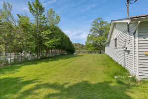  Photo 43