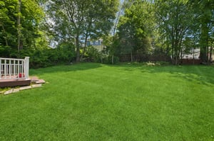 RAW_5149.jpg