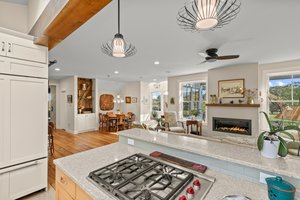 Open Kitchen/Living/Dining