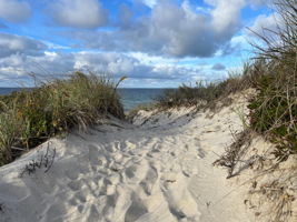 Path to the Beach