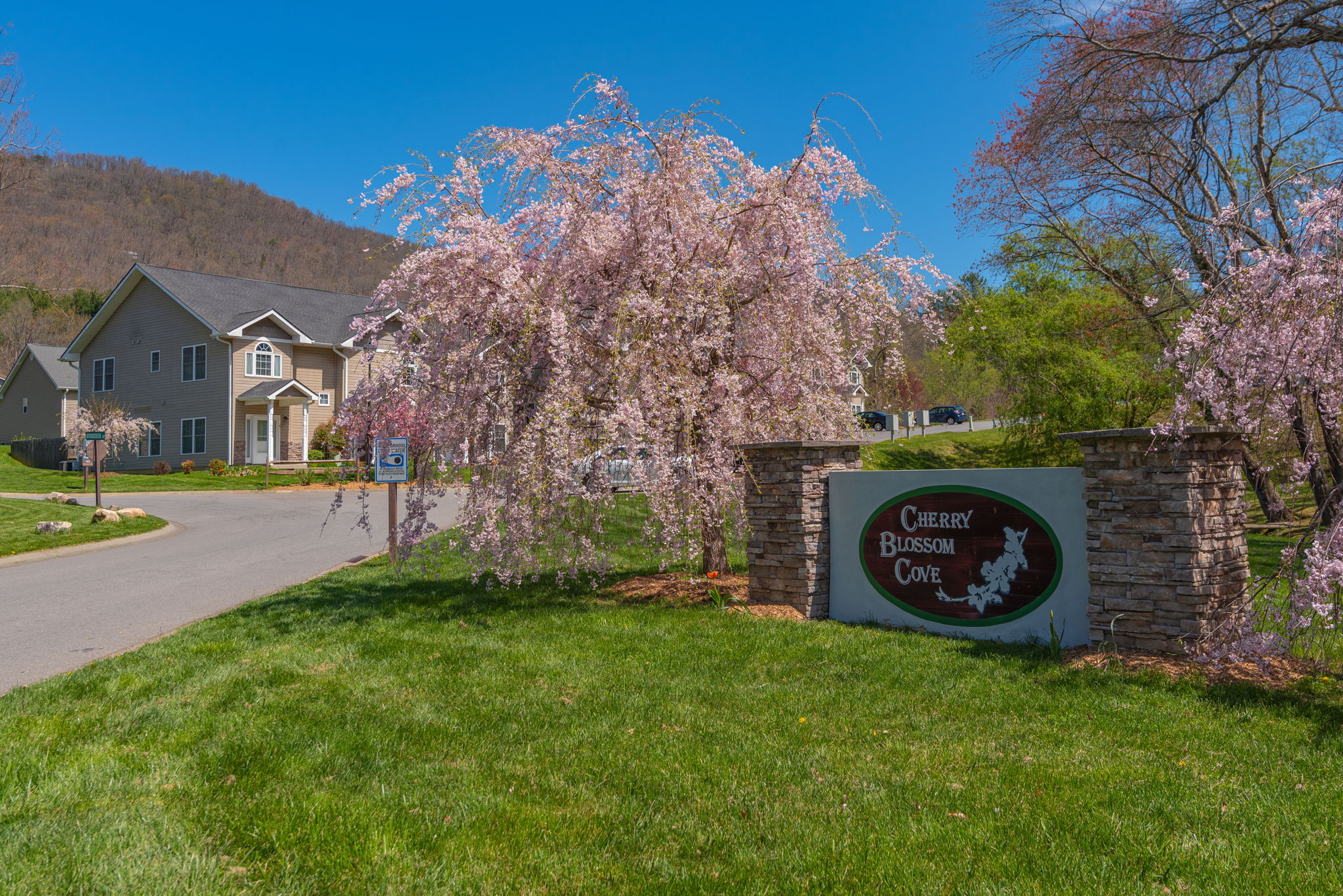 46 Woodcreek Cir, Swannanoa, NC 28778 TCMPhotos, LLC