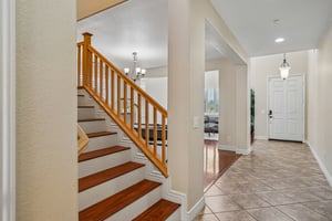 Bareback Ct-S0205-005.jpg