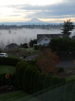 Seller's picture capturing the beauty of Mt. Rainier.