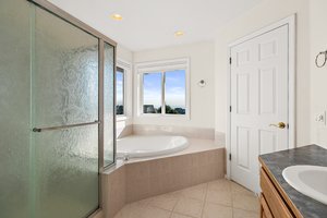 Shower, tub and double vanity.