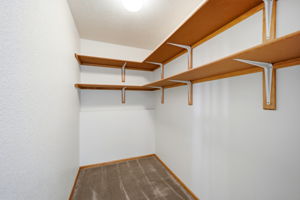252A0224
