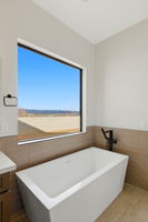 Primary Bathroom (2)