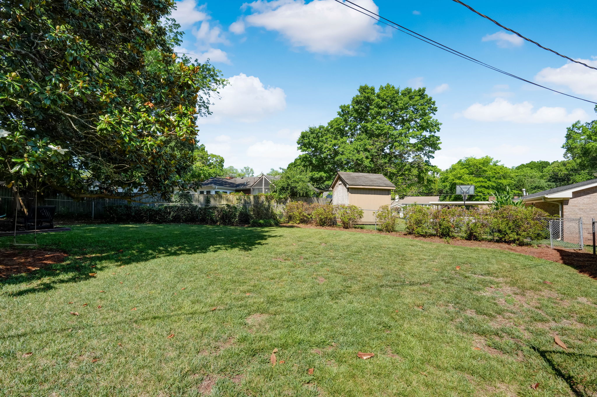 Back Yard
