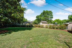 Back Yard