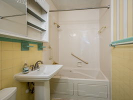  Photo 43