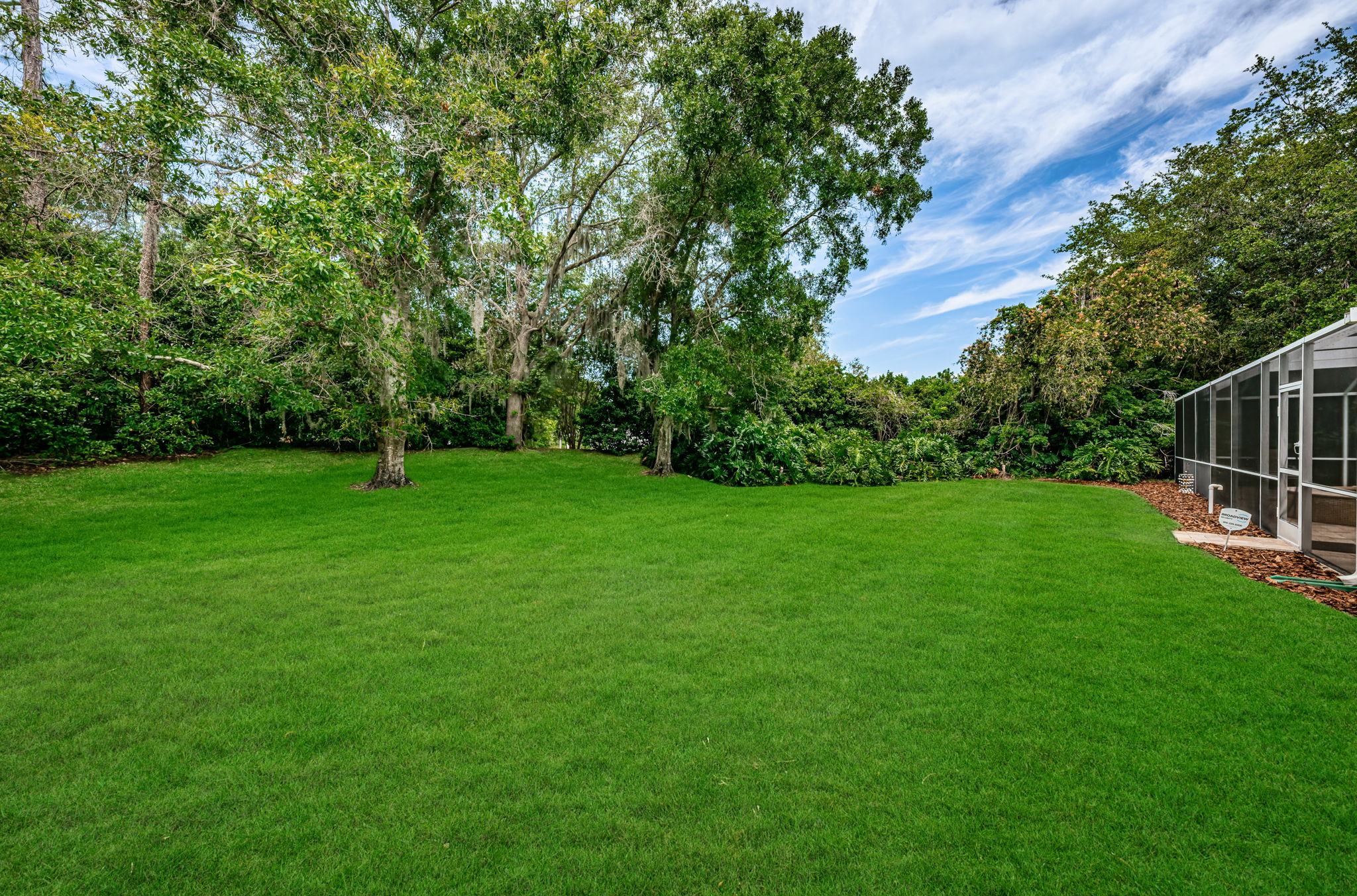 Backyard1-e