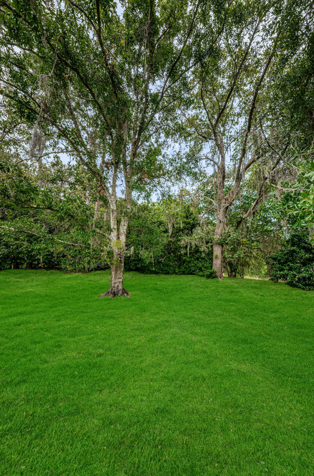 Backyard2-e