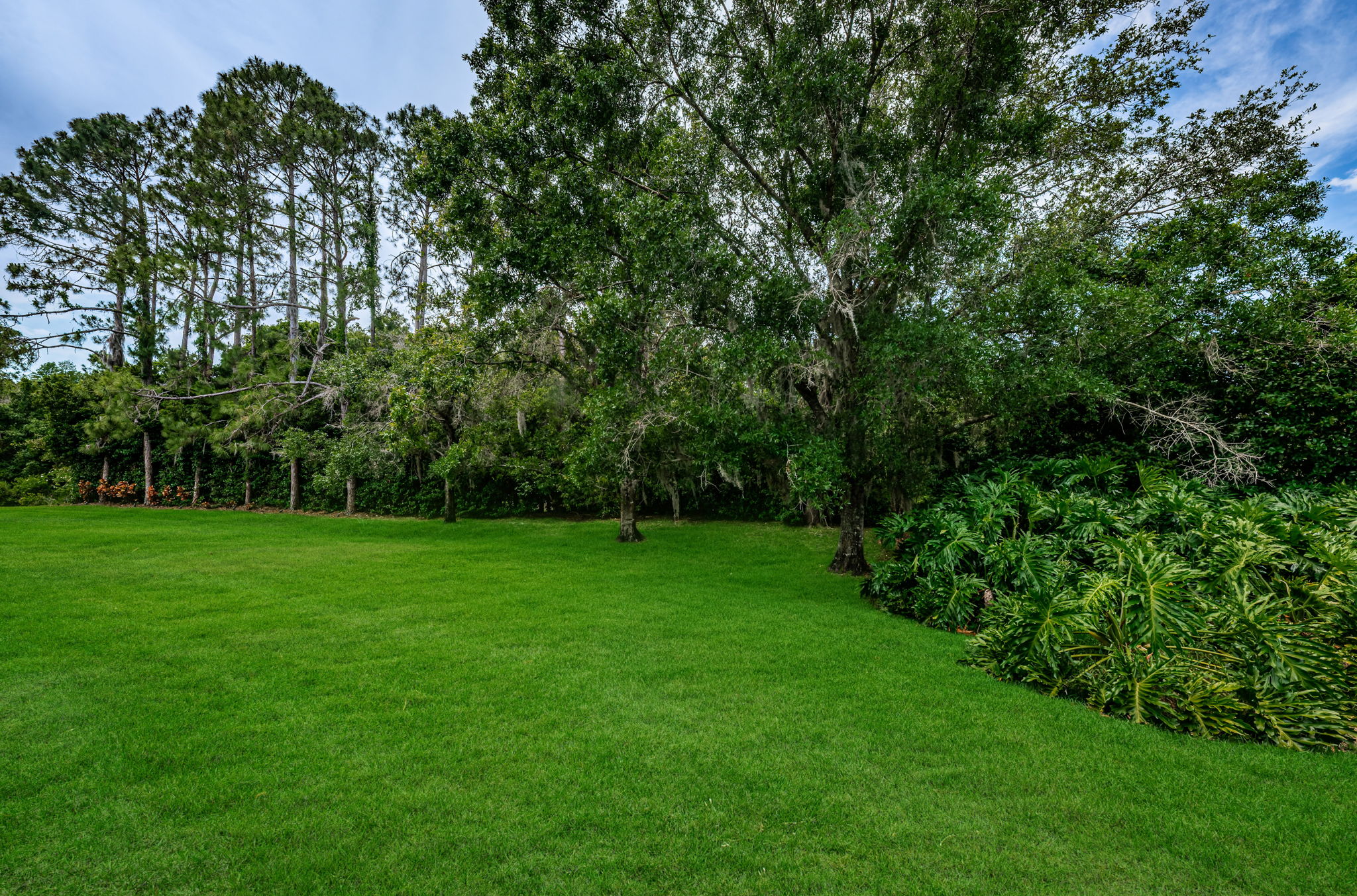 Backyard3-e