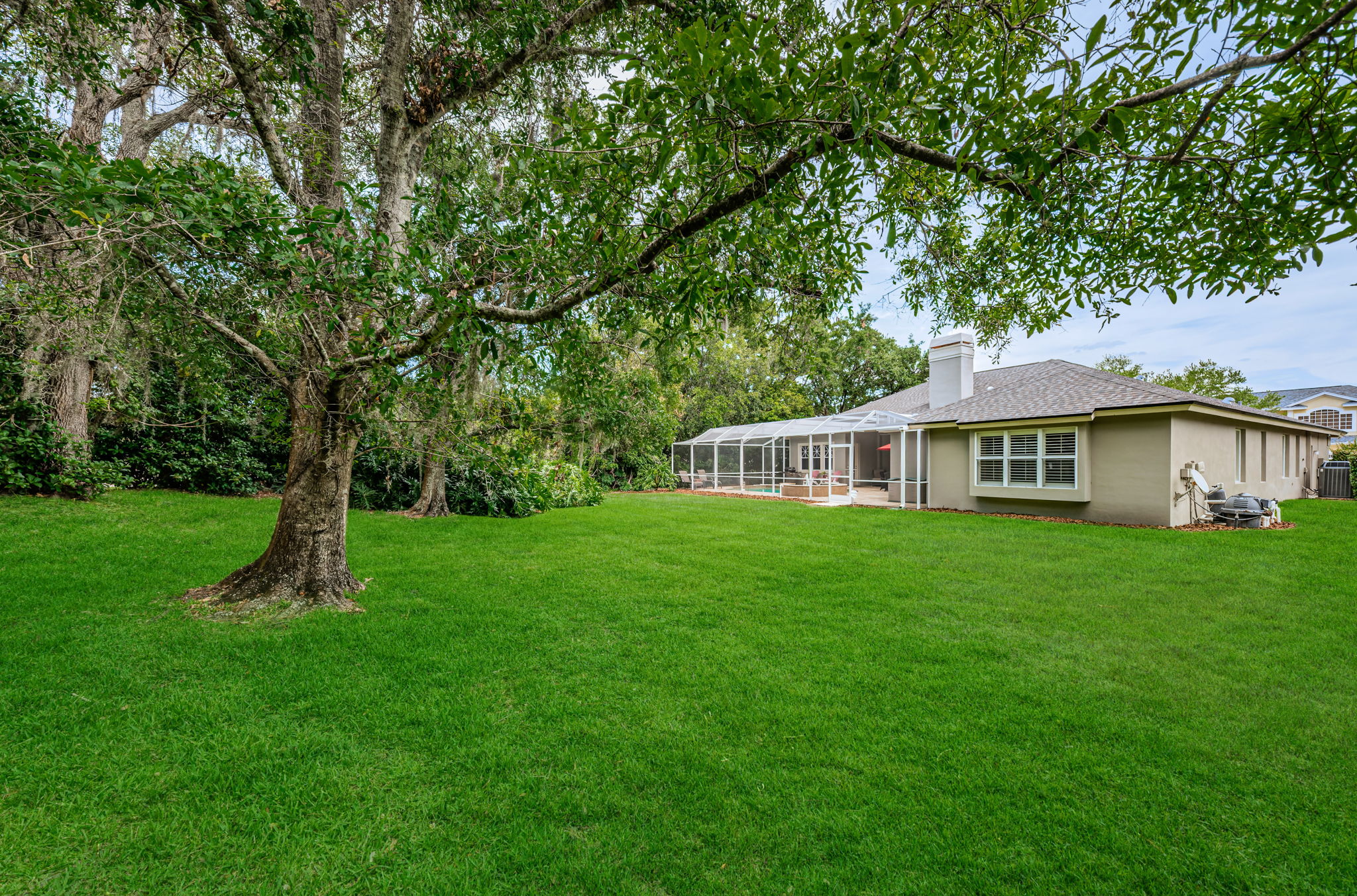 Backyard5-e
