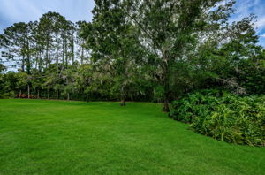 Backyard3-e