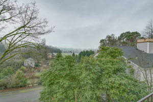 4606 47th Ave S, Seattle, WA 98118, USA Photo 24
