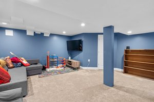 Finished Lower Level Recreation Room